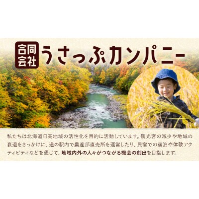激流 ラフティング体験ツアー 半日コース 2名様《30日以内に出荷予定(土日祝除く)》