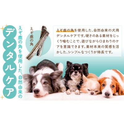 ペットのデンタルケア えぞ鹿の角 Mサイズ 株式会社K《30日以内に出荷予定(土日祝除く)》