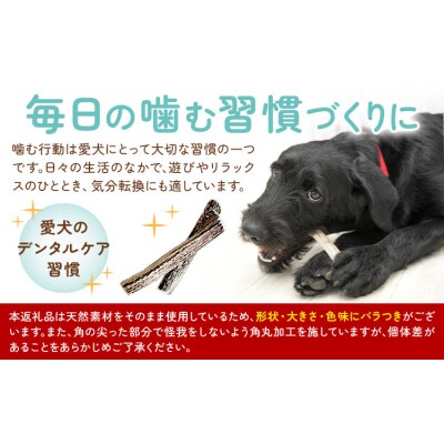 ペットのデンタルケア えぞ鹿の角 Lサイズ 株式会社K《30日以内に出荷予定(土日祝除く)》