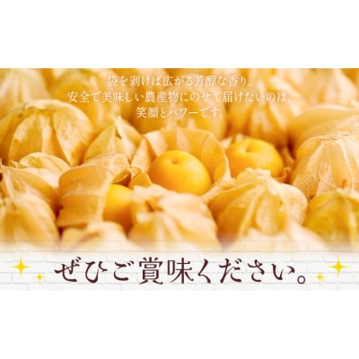 【先行予約 】フルーツ ほおずき 太陽の子 約500g のざわ農園《10月上旬-11月上旬頃出荷》
