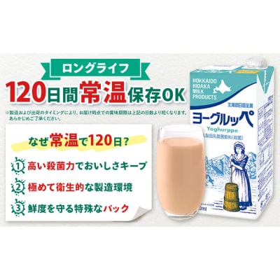 ロングライフ 常温保存可能 ヨーグルッペ 【3ヶ月定期便】 1000ml × 12本