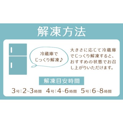 GOZO バスクチーズケーキ 12cm《7-14日以内に出荷予定(土日祝除く)》