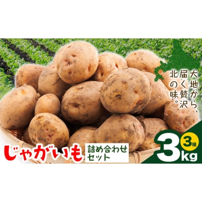 じゃがいも詰め合わせセット 3kg 10種のうち3種をお届け メークイン 男爵 とうや 十勝こがね 