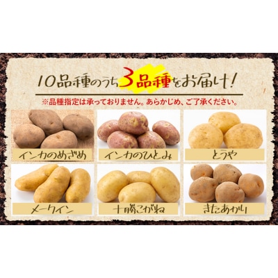 じゃがいも詰め合わせセット 3kg 10種のうち3種をお届け メークイン 男爵 とうや 十勝こがね 