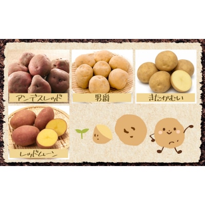 じゃがいも詰め合わせセット 3kg 10種のうち3種をお届け メークイン 男爵 とうや 十勝こがね 