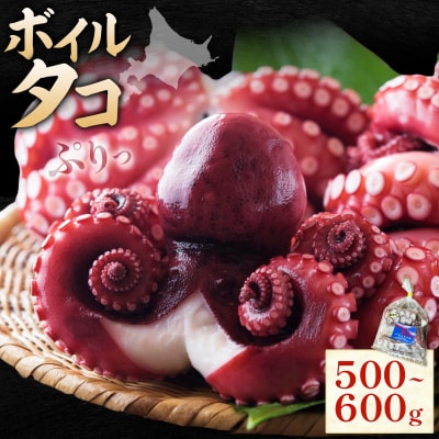海鮮 日高町産 ボイルタコ 500～600g 石崎水産 《30日以内に出荷予定(土日祝除く)》