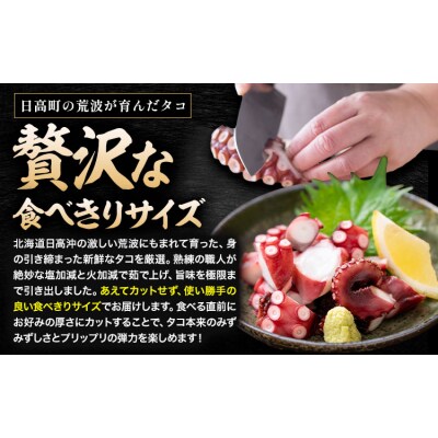 海鮮 日高町産 ボイルタコ 500～600g 石崎水産 《30日以内に出荷予定(土日祝除く)》