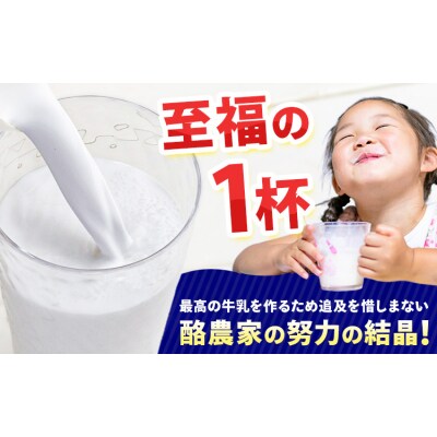 【9ヶ月定期便】ロングライフ 常温保存可能 牛乳 1000ml × 12本 日高乳業