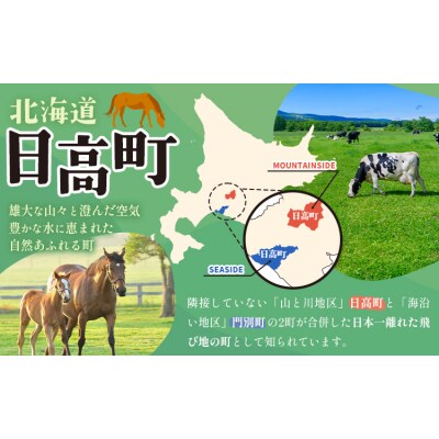 チーズ セット A 6種 チーズ工房1103 北海道 日高町産 通常包装