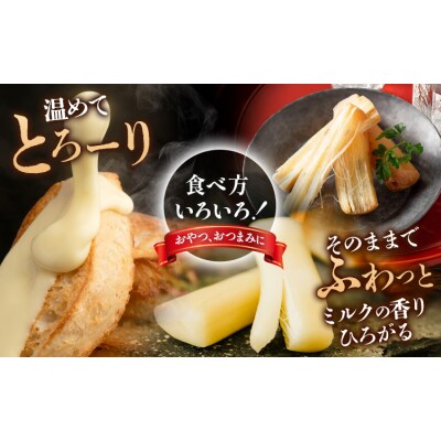 チーズ セット A 6種 チーズ工房1103 北海道 日高町産 通常包装