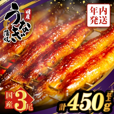 【年内発送】うなぎ蒲焼3尾(さんしょう・たれ付き)計450g以上 _T026-014-12