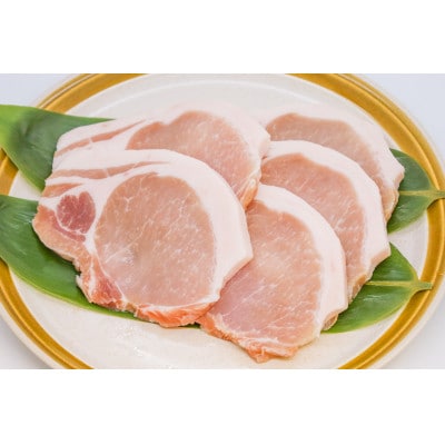 大町銀嶺豚ロース・バラセット(ロース約100g×5枚&バラスライス約500g)