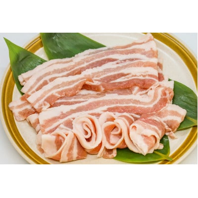 大町銀嶺豚ロース・バラセット(ロース約100g×5枚&バラスライス約500g)
