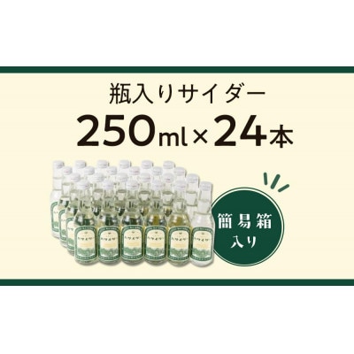 炭酸飲料 ハサイダー250ml×24本  (簡易箱入り)