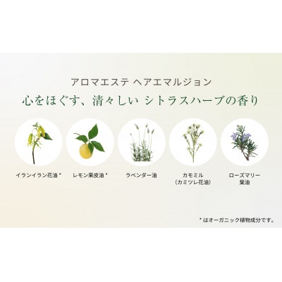 ラ・カスタ アロマエステ ヘアエマルジョン 本体(80ml)&リフィル(詰め替え用140ml)セット