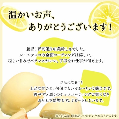 レモンケーキ(1箱10個入)