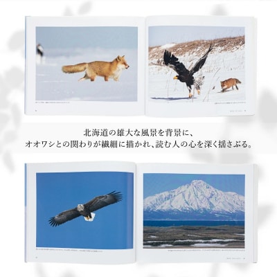 写真集　海ワシ物語　1冊