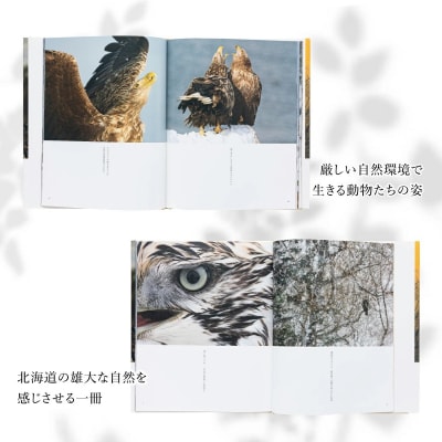 写真集　里山の宇宙