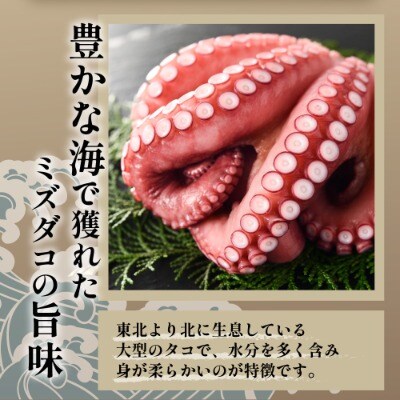 【遠別農業高校コラボ】海鮮の旨み溢れる　たこめしセット　約2合(3～4人分)炊き込みご飯セット