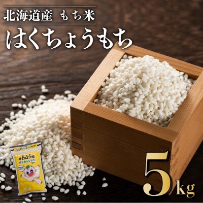 【日本最北のもち米生産地からお届け】はくちょうもち(もち米)5kg【令和7年産米】