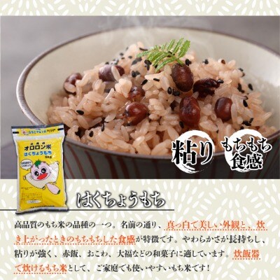【日本最北のもち米生産地からお届け】はくちょうもち(もち米)5kg【令和7年産米】