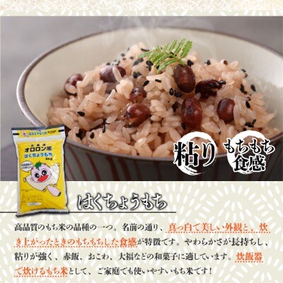 【日本最北のもち米生産地からお届け】はくちょうもち(もち米)10kg【令和7年産米】