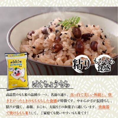 【日本最北のもち米生産地】はくちょうもち・オロロン米ななつぼしセット(計10㎏)【令和7年産米】