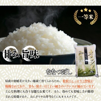 【日本最北のもち米生産地】はくちょうもち・オロロン米ななつぼしセット(計10㎏)【令和7年産米】