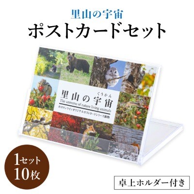 【野生塾　泊和幸】ポストカードセット　里山の宇宙(動物)