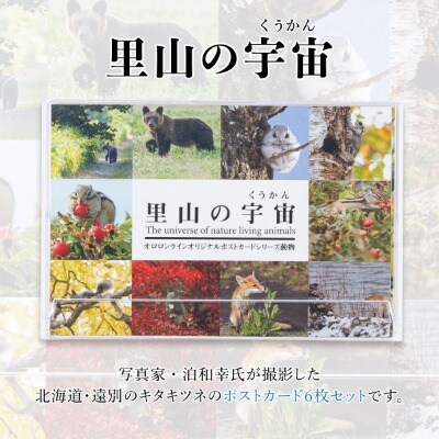 【野生塾　泊和幸】ポストカードセット　里山の宇宙(動物)