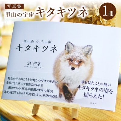 【野生塾】里山の宇宙(さとやまのくうかん)　キタキツネ【泊和幸　野生塾】
