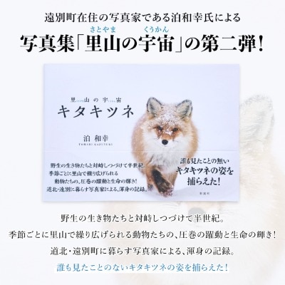 【野生塾】里山の宇宙(さとやまのくうかん)　キタキツネ【泊和幸　野生塾】