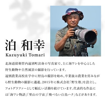 【野生塾】里山の宇宙(さとやまのくうかん)　キタキツネ【泊和幸　野生塾】