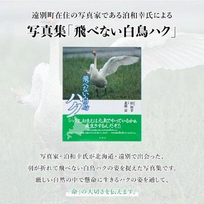 【写真集】飛べない白鳥ハク　彩流社　【野生塾　泊和幸】