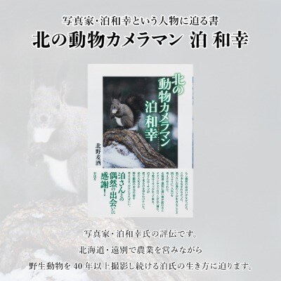 「北の動物カメラマン泊和幸 」北野麦酒 筆 彩流社　野生塾