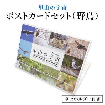 【野生塾　泊和幸】ポストカードセット　里山の宇宙(野鳥)
