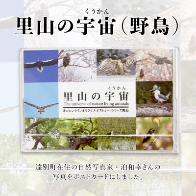 【野生塾　泊和幸】ポストカードセット　里山の宇宙(野鳥)