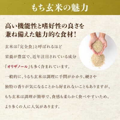 【日本最北のもち米生産地からお届け】風の子もちkg+もち玄米300gセット【令和7年産米】
