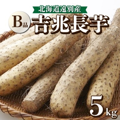 【数量限定】遠別産　吉兆長芋(B品5kg)　長いも　ながいも　山芋　いも　とろろ