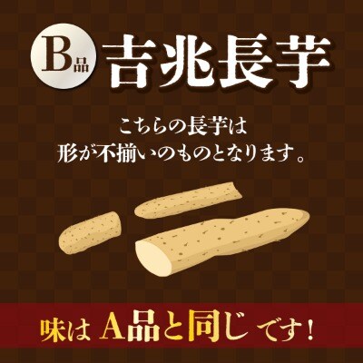 【数量限定】遠別産　吉兆長芋(B品5kg)　長いも　ながいも　山芋　いも　とろろ