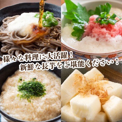 【数量限定】遠別産　吉兆長芋(B品5kg)　長いも　ながいも　山芋　いも　とろろ