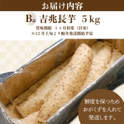 【数量限定】遠別産　吉兆長芋(B品5kg)　長いも　ながいも　山芋　いも　とろろ