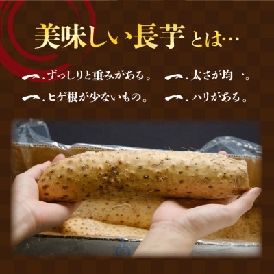 【数量限定】遠別産　吉兆長芋(A品約3kg)　長いも　ながいも　山芋　いも　とろろ