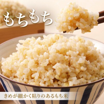 【日本最北のもち米生産地からお届け】もち玄米(2kg)【令和7年産米】