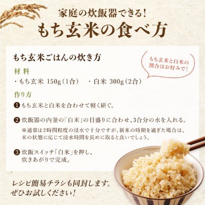 【日本最北のもち米生産地からお届け】もち玄米(2kg)【令和7年産米】