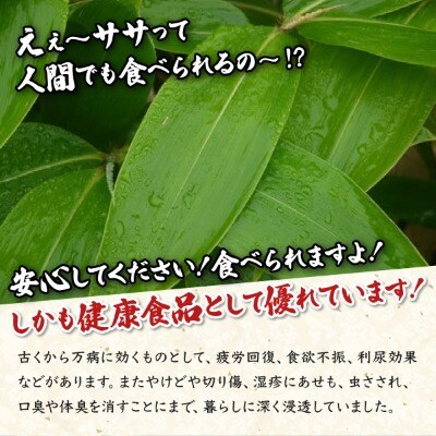 クマイザサ使用　笹青汁(1缶126g)北海道　遠別町　熊笹　隈笹　クマザサ　クマイ笹　九枚笹