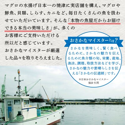 焼津港水揚げ ・南まぐろ中トロ付きセット1(a20-239)