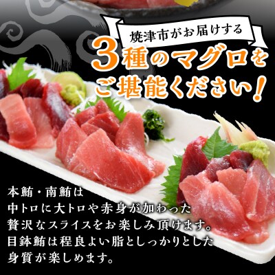 鮪職人の刺身スライスセット(a20-419)