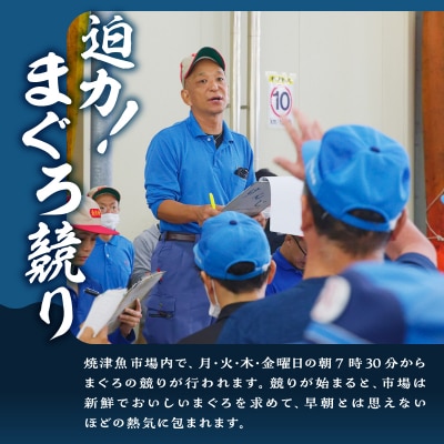 焼津ミナミマグロスキンレスセット(a31-011)