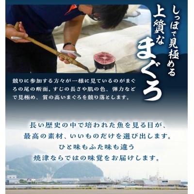 焼津ミナミマグロスキンレスセット(a31-011)